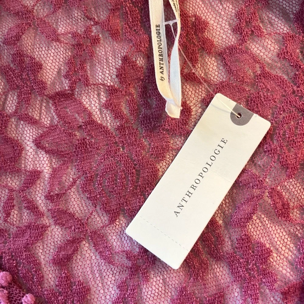 NWT’s Anthropologie sheer Lace Women's Top